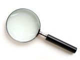 Property Search